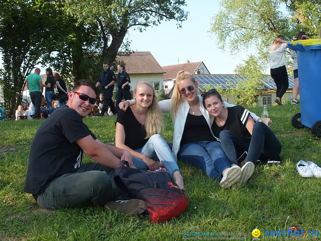 Flohmarkt in Riedlingen am Bodensee, 28.05.2015