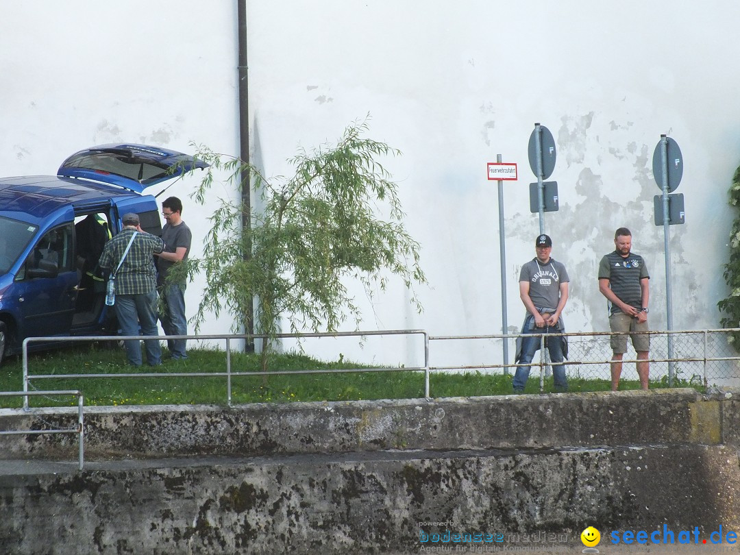 Flohmarkt in Riedlingen am Bodensee, 28.05.2015