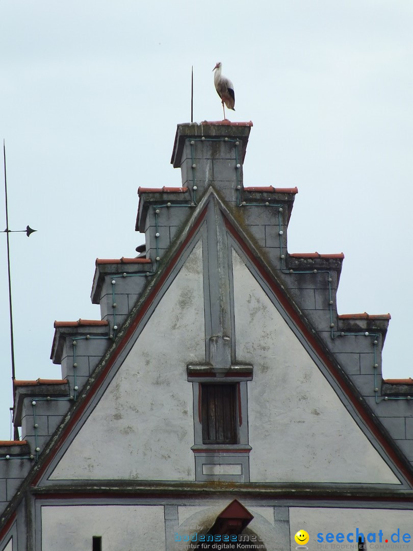 Flohmarkt in Riedlingen am Bodensee, 28.05.2015