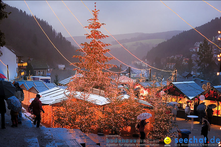 Triberger-Weihnachtszauber: Triberg, 30.12.2009