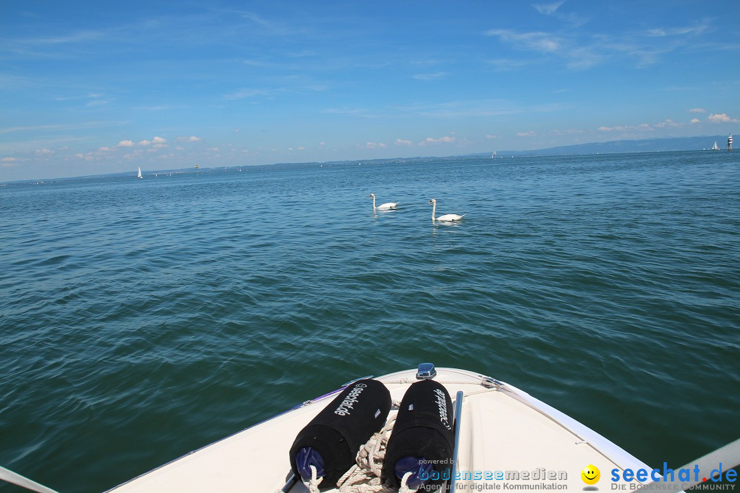 BODENSEEBOOT Breitenquerung, Hamza Bakircioglu: Friedrichshafen, 10.06.2016