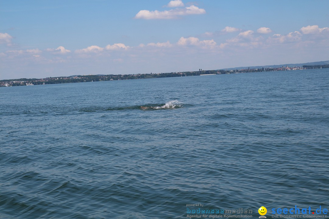 BODENSEEBOOT Breitenquerung, Hamza Bakircioglu: Friedrichshafen, 10.06.2016