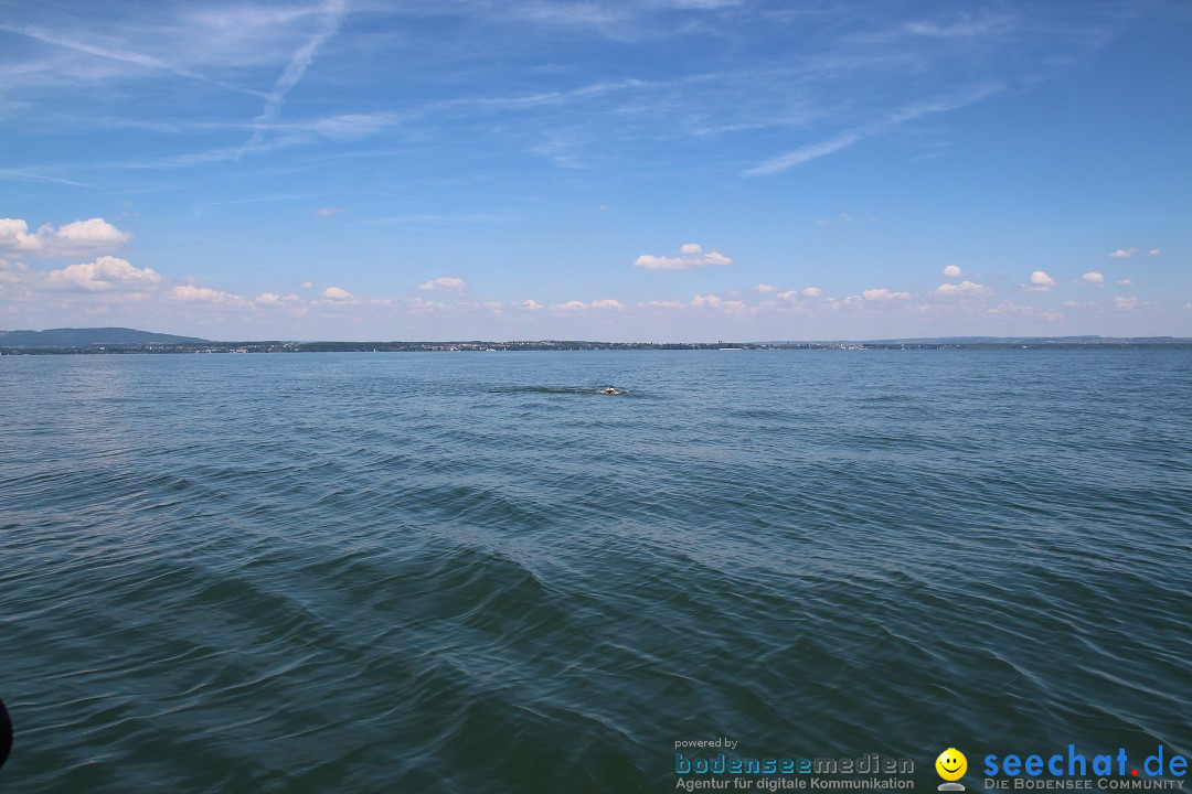 BODENSEEBOOT Breitenquerung, Hamza Bakircioglu: Friedrichshafen, 10.06.2016