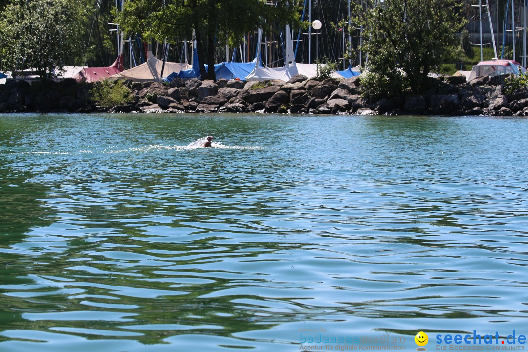 BODENSEEBOOT Breitenquerung, Hamza Bakircioglu: Friedrichshafen, 10.06.2016