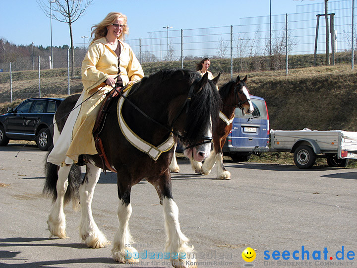 Pferd Bodensee 2008