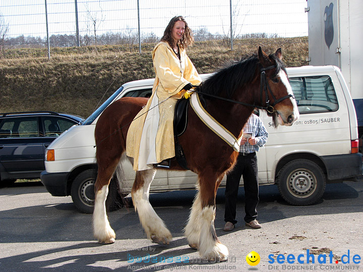 Pferd Bodensee 2008