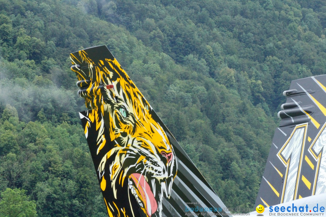 Flugshow-Militaerflugplatz-Meiringen-Bern-2016-06-17-Bodensee-Community-SEECHAT-DE-_35_.jpg