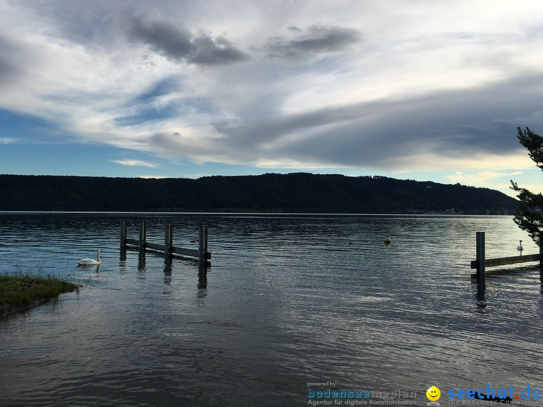 Hochwasser-Bodensee-2016-06-17-Bodensee-Community_SEECHAT_DE-IMG_4520.JPG