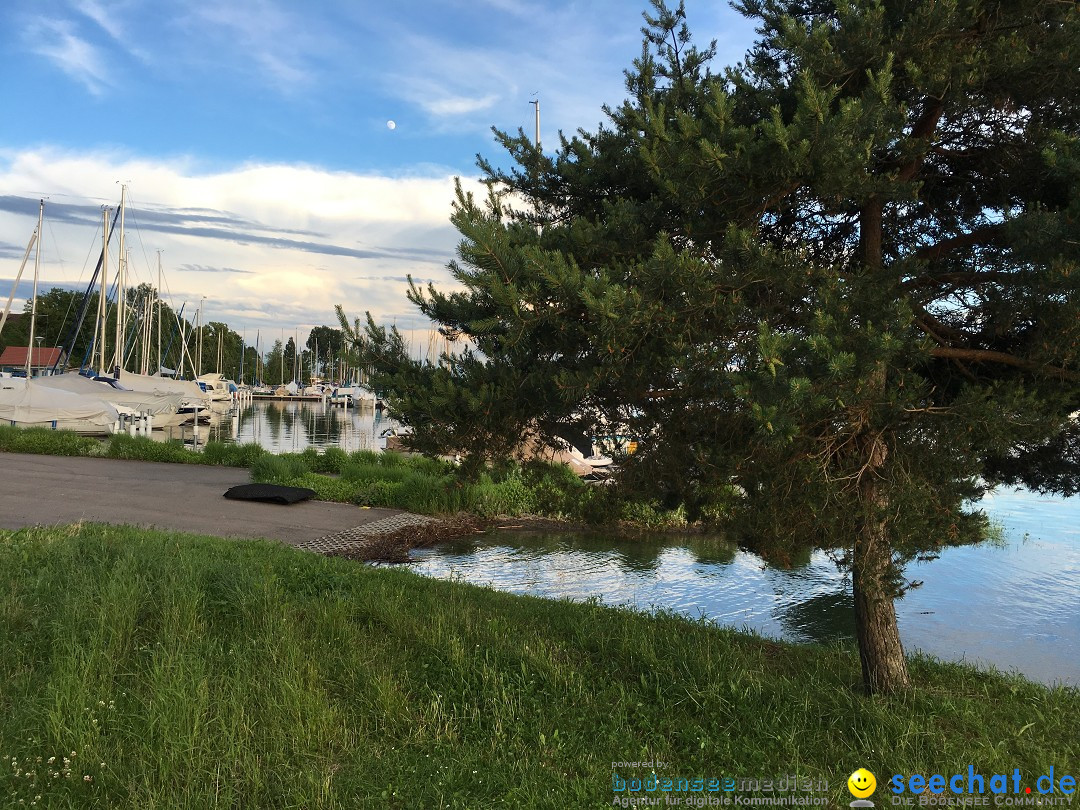 Hochwasser-Bodensee-2016-06-17-Bodensee-Community_SEECHAT_DE-IMG_4532.JPG