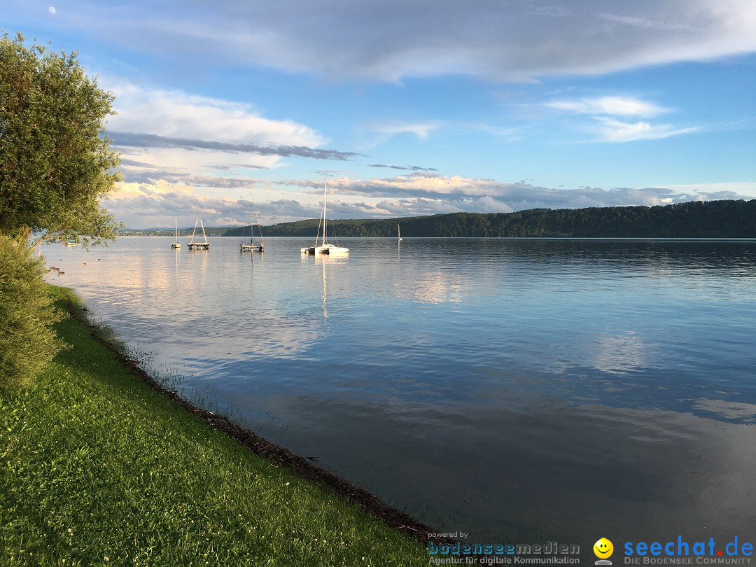 Hochwasser-Bodensee-2016-06-17-Bodensee-Community_SEECHAT_DE-IMG_4543.JPG