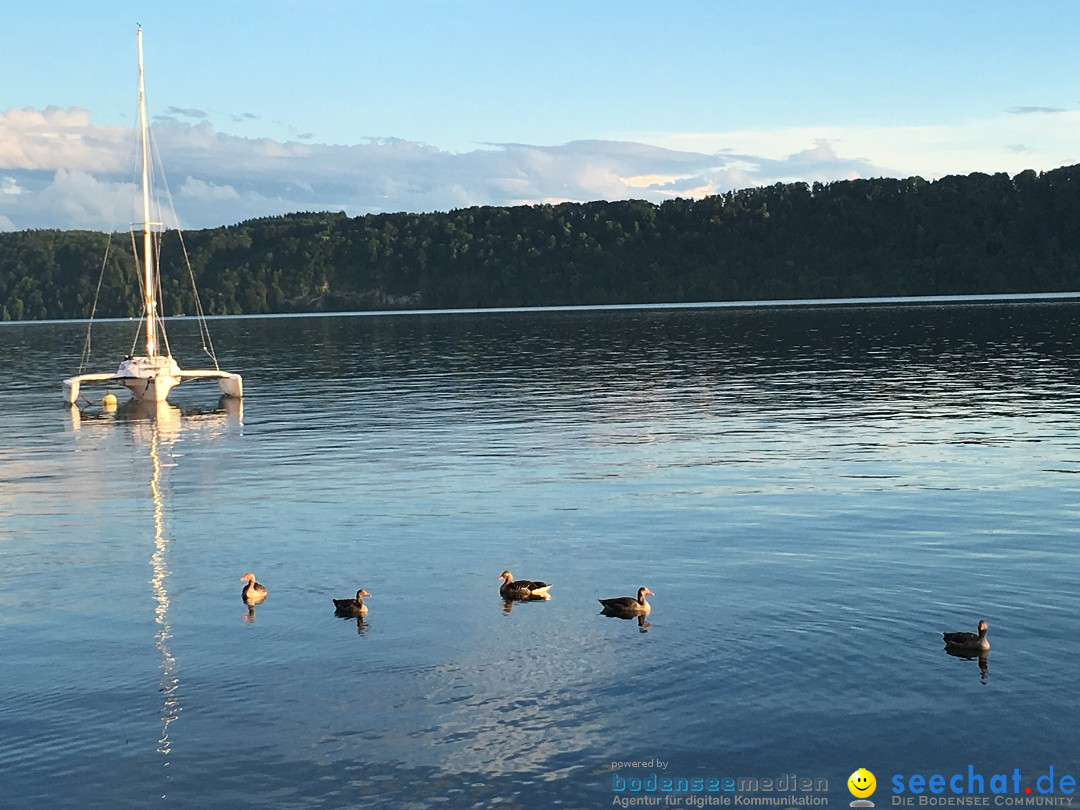 Hochwasser-Bodensee-2016-06-17-Bodensee-Community_SEECHAT_DE-IMG_4545.JPG