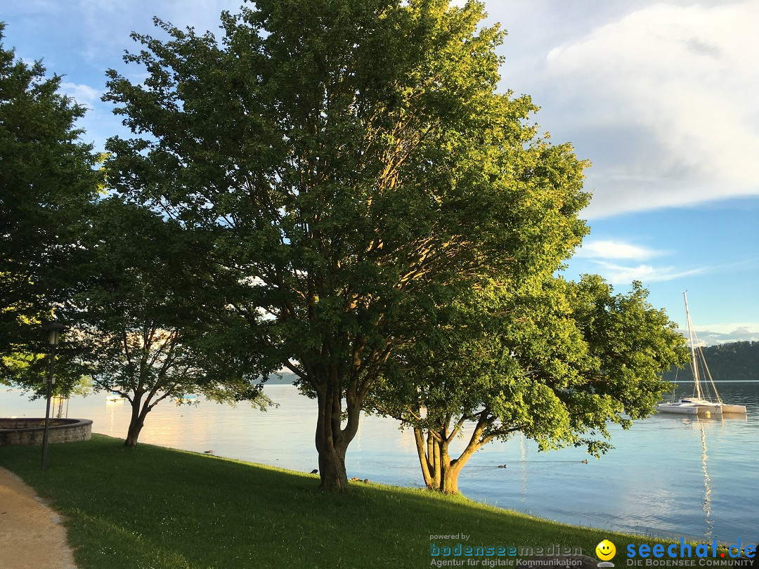 Hochwasser-Bodensee-2016-06-17-Bodensee-Community_SEECHAT_DE-IMG_4547.JPG