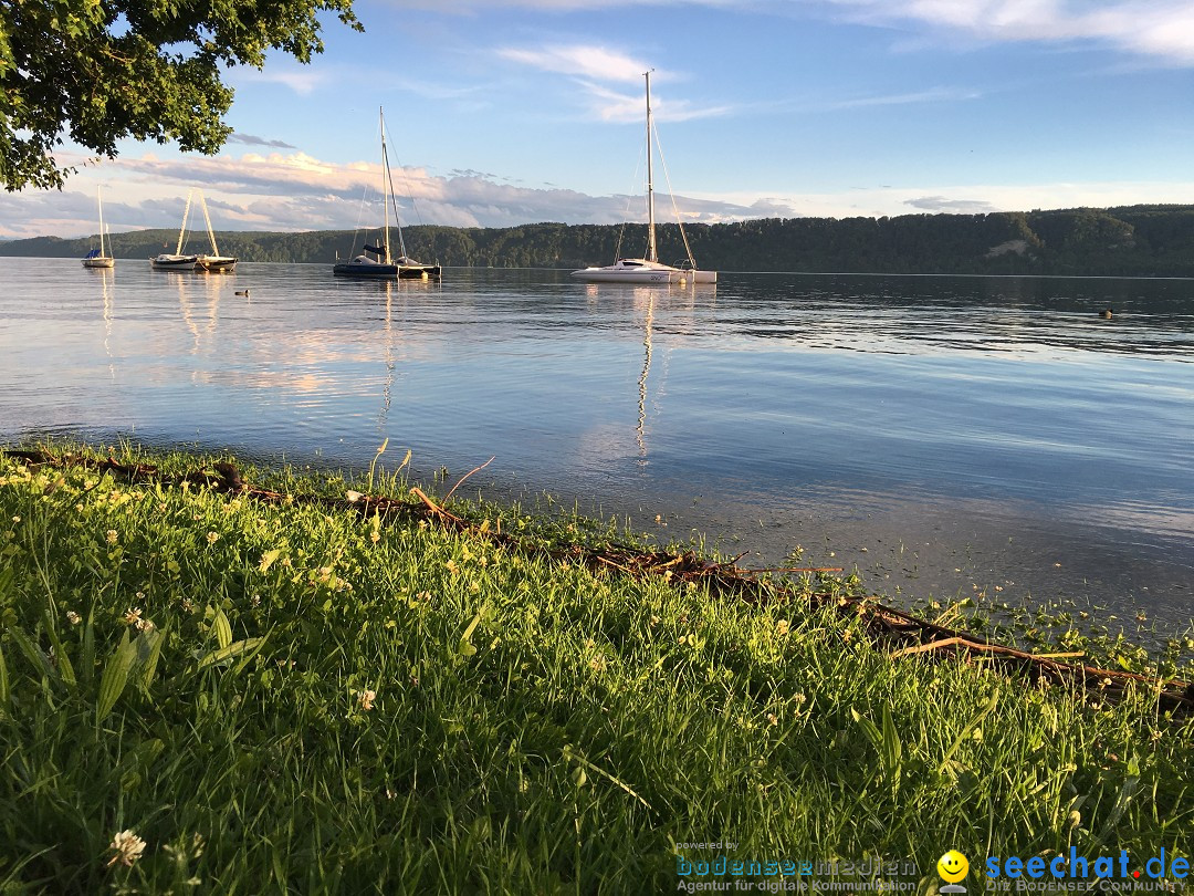 Hochwasser-Bodensee-2016-06-17-Bodensee-Community_SEECHAT_DE-IMG_4549.JPG