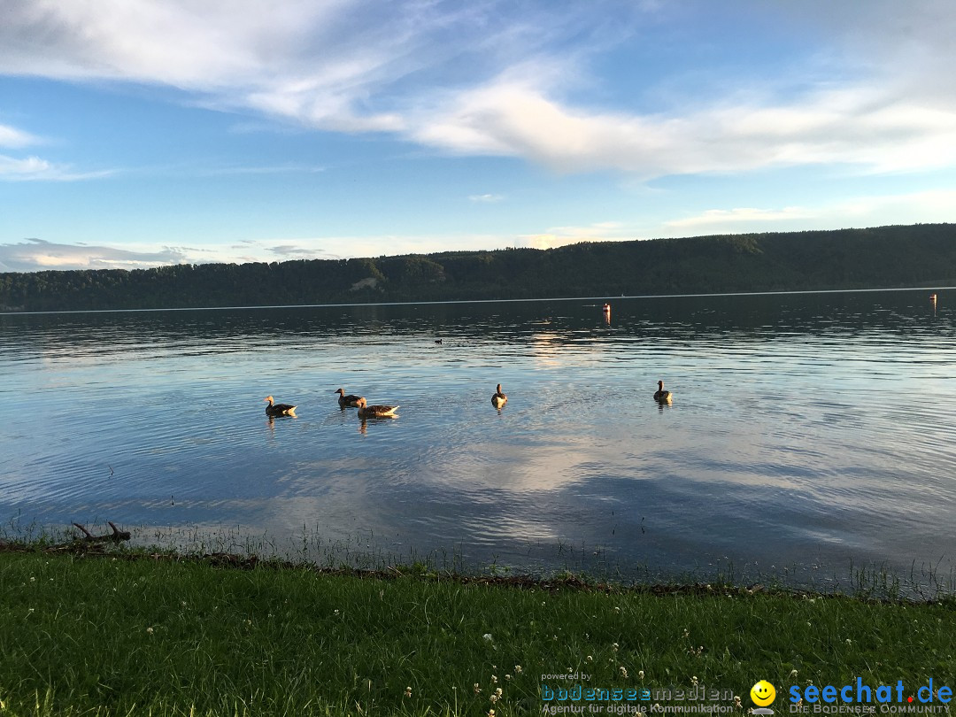 Hochwasser-Bodensee-2016-06-17-Bodensee-Community_SEECHAT_DE-IMG_4554.JPG