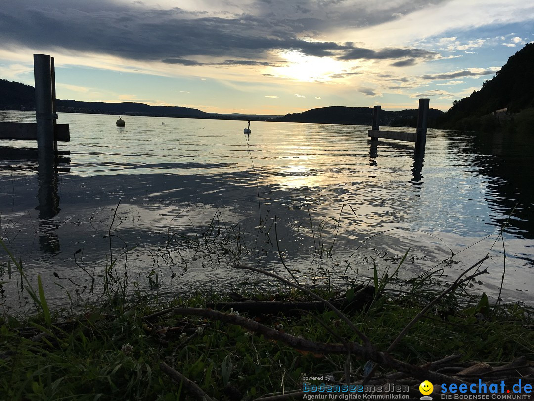 Hochwasser-Bodensee-2016-06-17-Bodensee-Community_SEECHAT_DE-IMG_4564.JPG