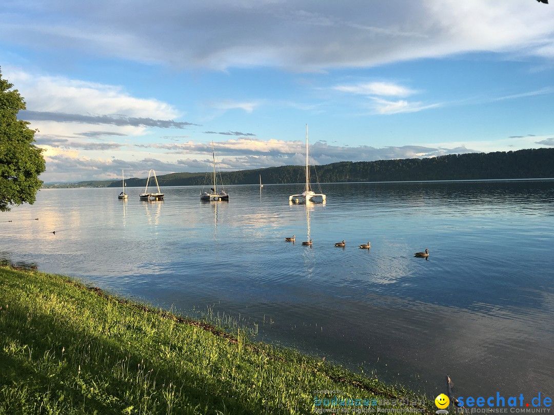 tHochwasser-Bodensee-2016-06-17-Bodensee-Community_SEECHAT_DE-IMG_4527.JPG