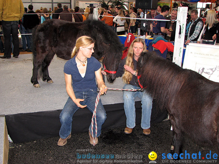 Pferd Bodensee 2008