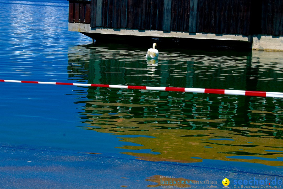 Hochwasser-am-Bodensee-Rorschach-2016-06-20-Bodensee-Community-SEECHAT-CH-_109_.jpg