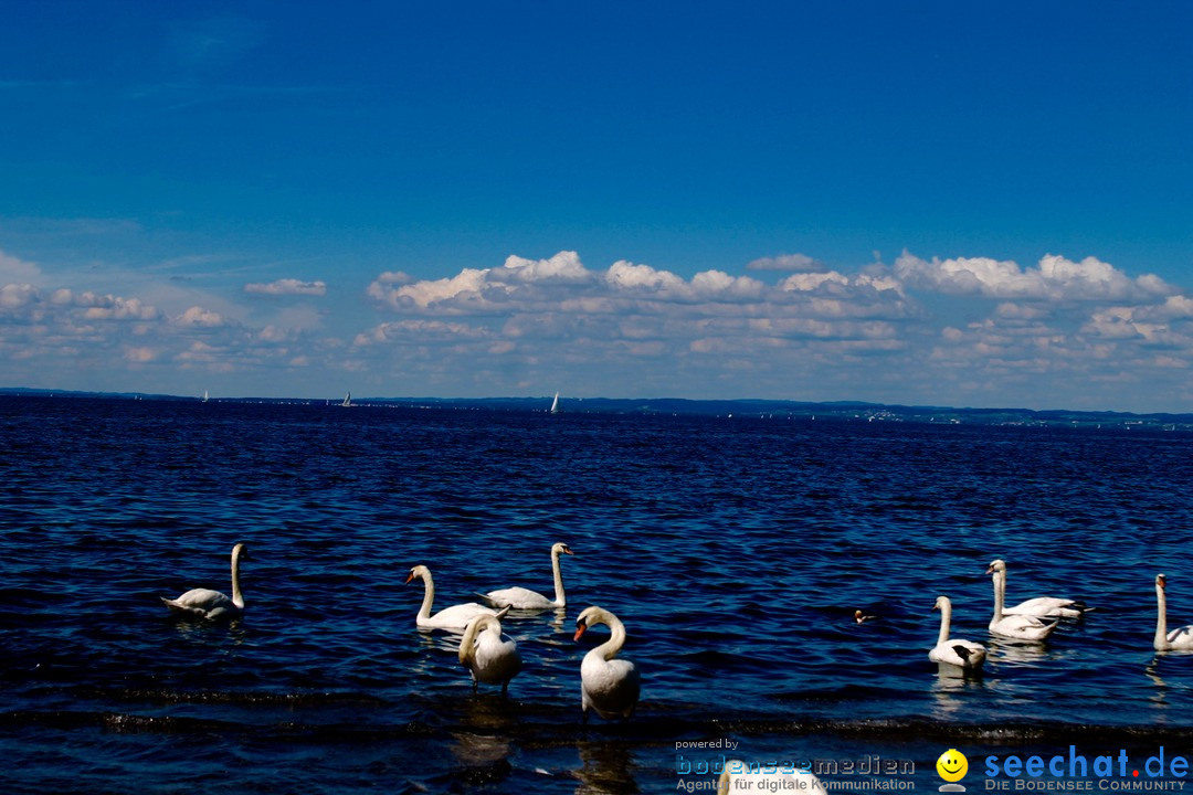 Hochwasser-am-Bodensee-Rorschach-2016-06-20-Bodensee-Community-SEECHAT-CH-_110_.jpg