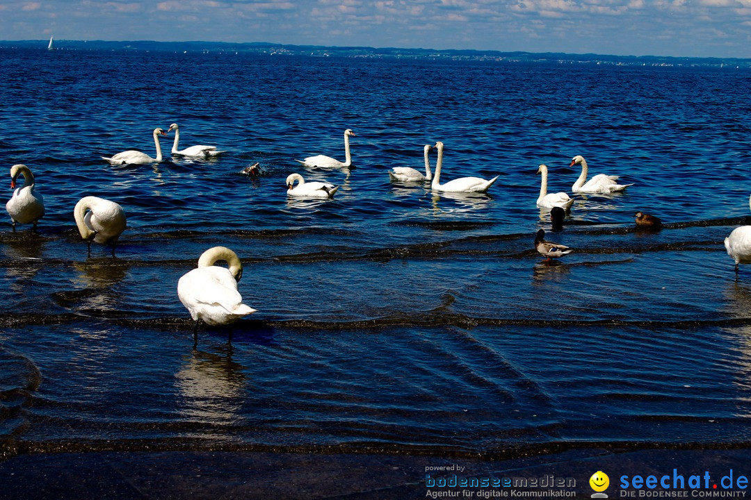 Hochwasser-am-Bodensee-Rorschach-2016-06-20-Bodensee-Community-SEECHAT-CH-_114_.jpg