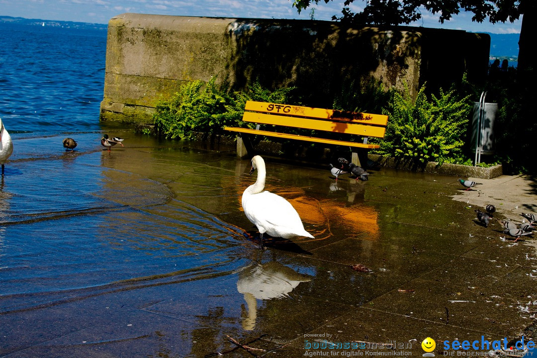 Hochwasser-am-Bodensee-Rorschach-2016-06-20-Bodensee-Community-SEECHAT-CH-_115_.jpg