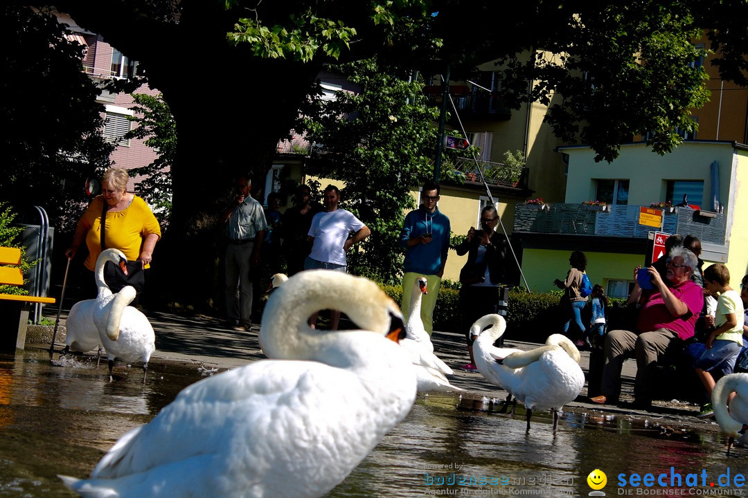 Hochwasser-am-Bodensee-Rorschach-2016-06-20-Bodensee-Community-SEECHAT-CH-_122_.jpg