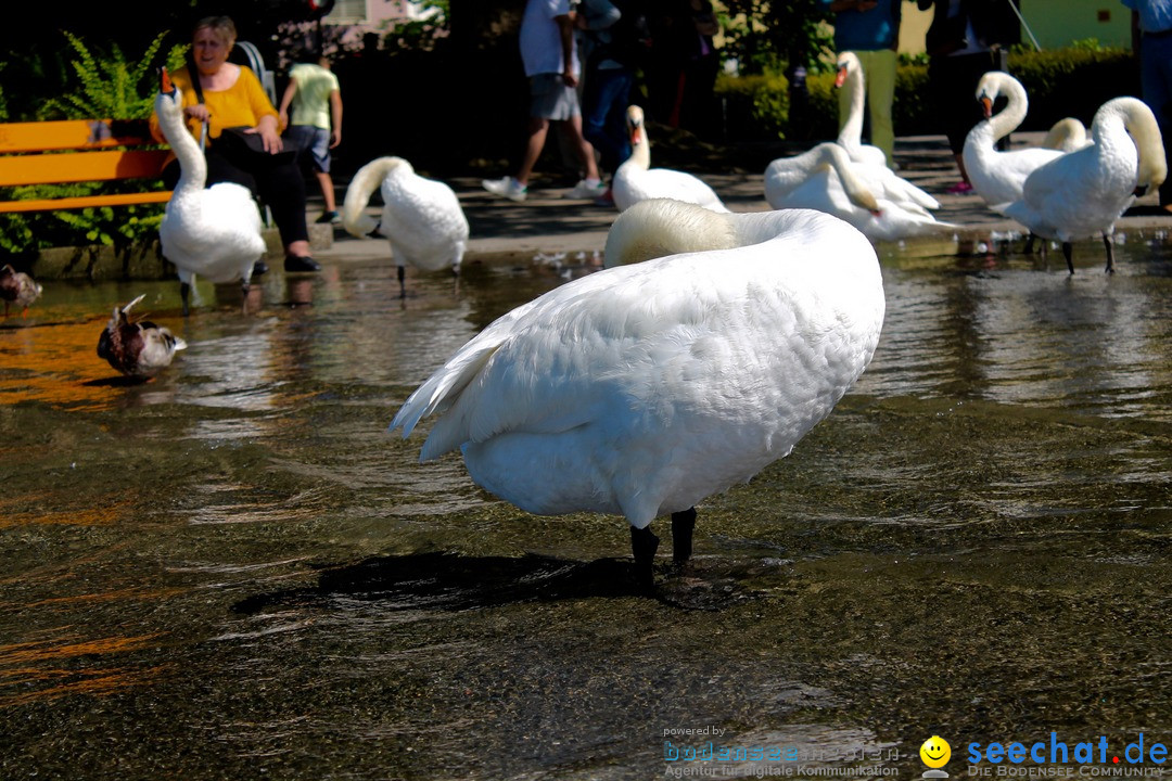 Hochwasser-am-Bodensee-Rorschach-2016-06-20-Bodensee-Community-SEECHAT-CH-_123_.jpg