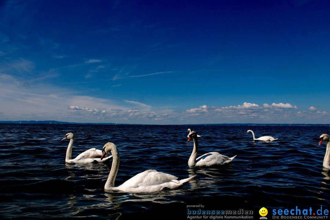 Hochwasser-am-Bodensee-Rorschach-2016-06-20-Bodensee-Community-SEECHAT-CH-_125_.jpg