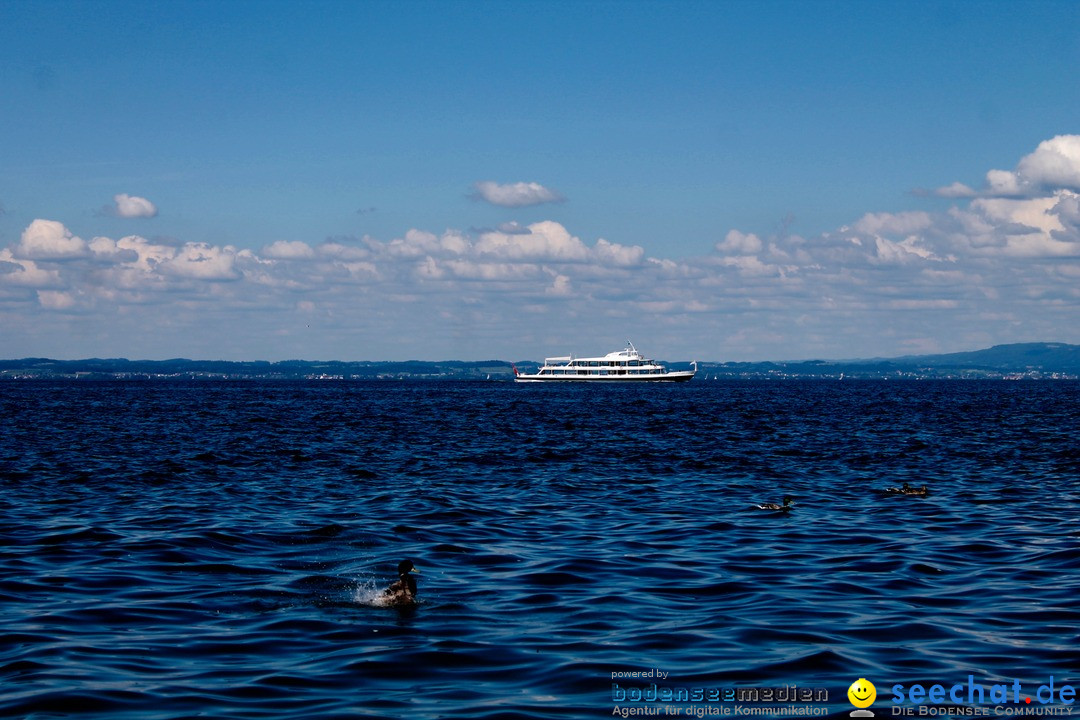 Hochwasser-am-Bodensee-Rorschach-2016-06-20-Bodensee-Community-SEECHAT-CH-_130_.jpg