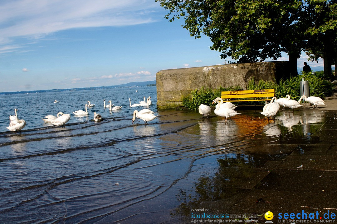 Hochwasser-am-Bodensee-Rorschach-2016-06-20-Bodensee-Community-SEECHAT-CH-_13_.jpg