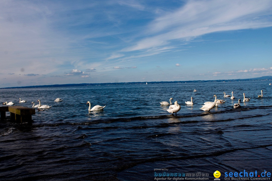 Hochwasser-am-Bodensee-Rorschach-2016-06-20-Bodensee-Community-SEECHAT-CH-_140_.jpg