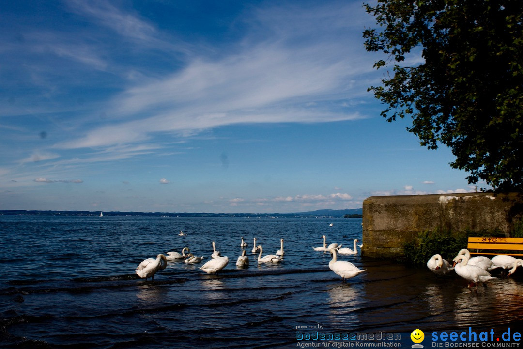 Hochwasser-am-Bodensee-Rorschach-2016-06-20-Bodensee-Community-SEECHAT-CH-_141_.jpg