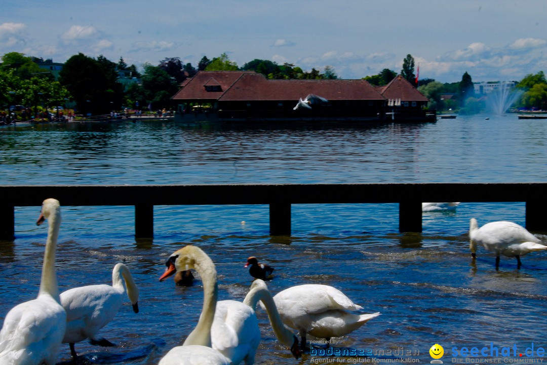 Hochwasser-am-Bodensee-Rorschach-2016-06-20-Bodensee-Community-SEECHAT-CH-_34_.jpg