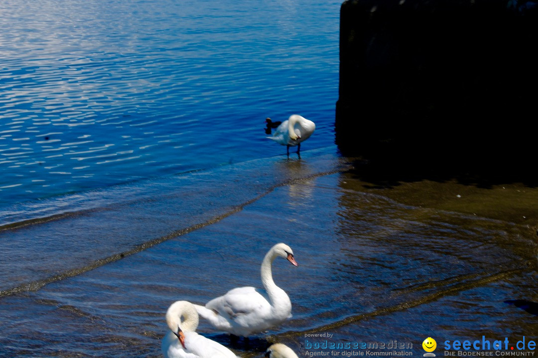 Hochwasser-am-Bodensee-Rorschach-2016-06-20-Bodensee-Community-SEECHAT-CH-_61_.jpg