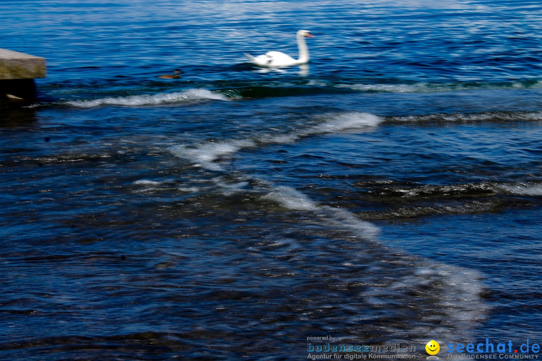 Hochwasser-am-Bodensee-Rorschach-2016-06-20-Bodensee-Community-SEECHAT-CH-_75_.jpg