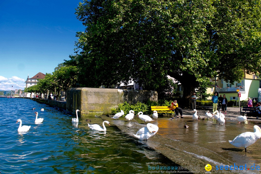 ttHochwasser-am-Bodensee-Rorschach-2016-06-20-Bodensee-Community-SEECHAT-CH-_51_.jpg