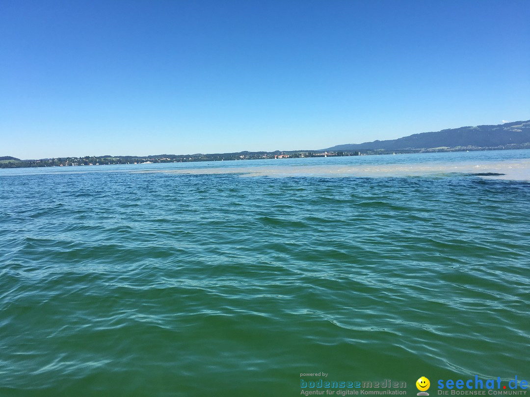 BODENSEEBOOT Breitenquerung, Anna DeLozier Arizona, USA: Bodensee, 23.06.20