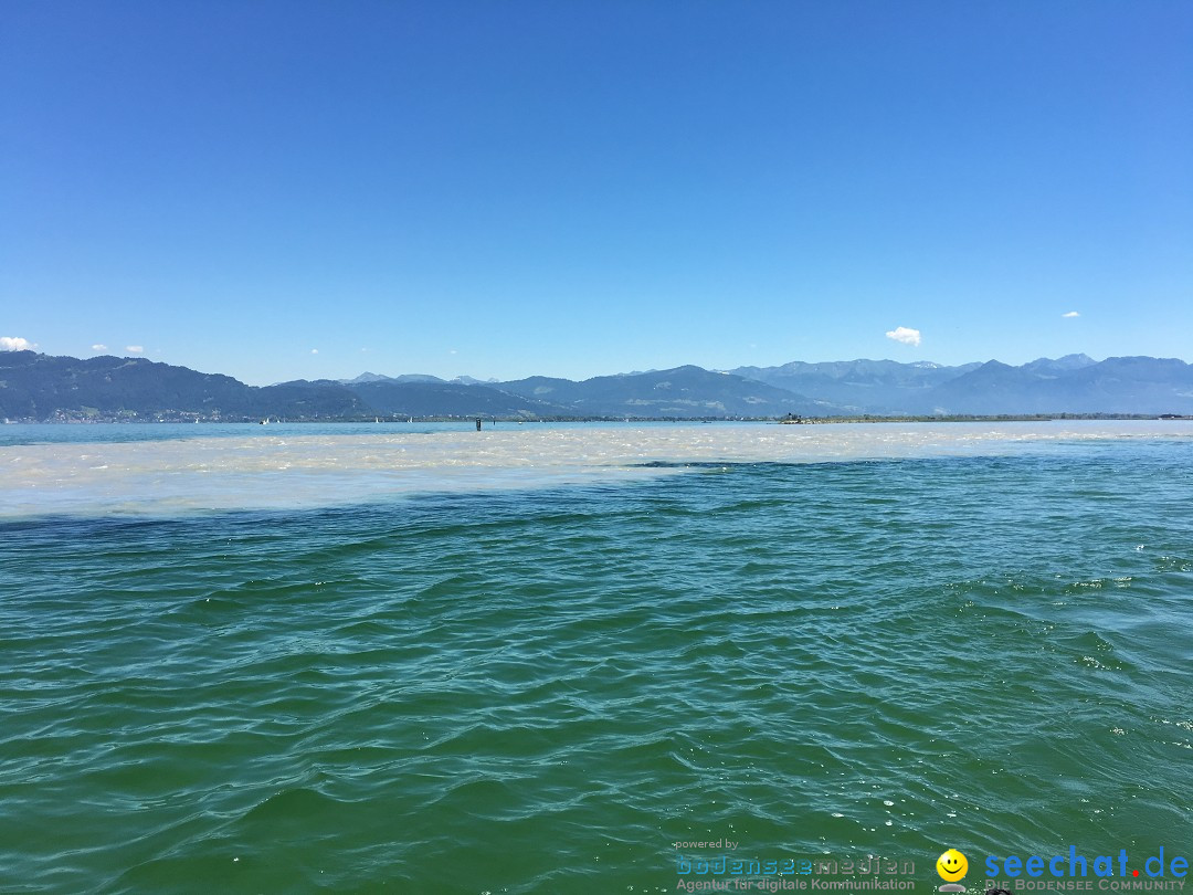 BODENSEEBOOT Breitenquerung, Anna DeLozier Arizona, USA: Bodensee, 23.06.20