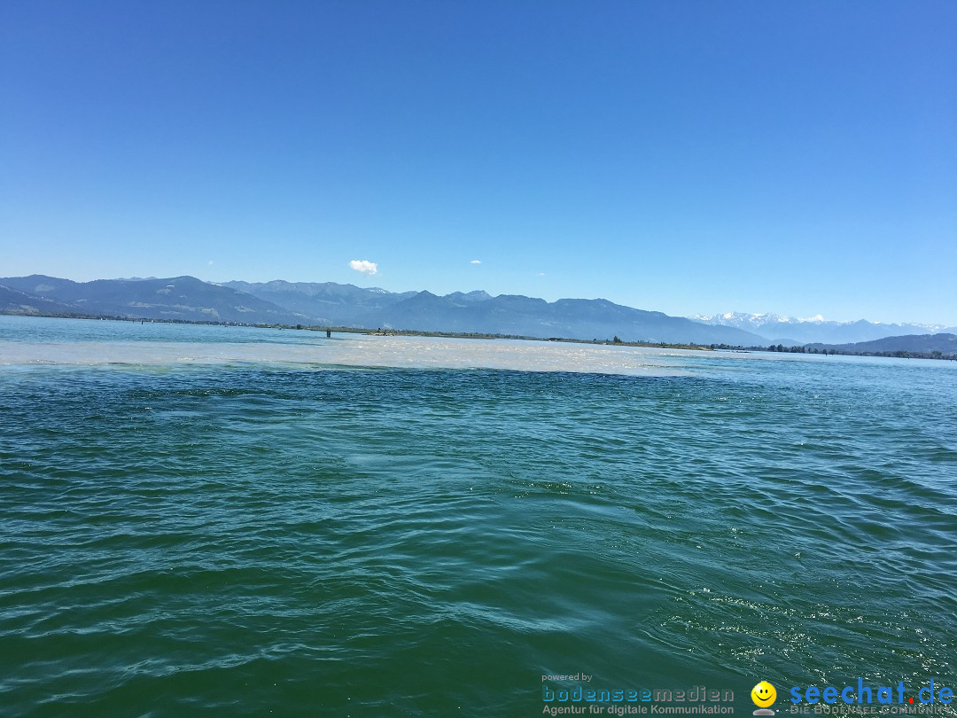 BODENSEEBOOT Breitenquerung, Anna DeLozier Arizona, USA: Bodensee, 23.06.20