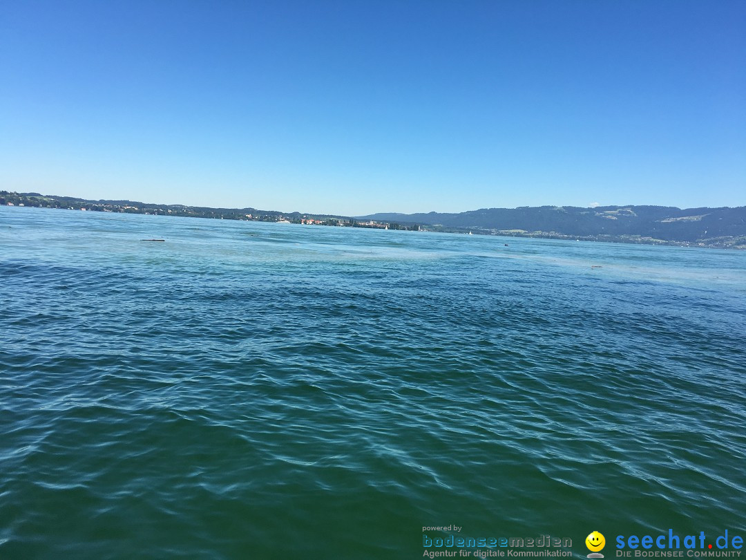 BODENSEEBOOT Breitenquerung, Anna DeLozier Arizona, USA: Bodensee, 23.06.20