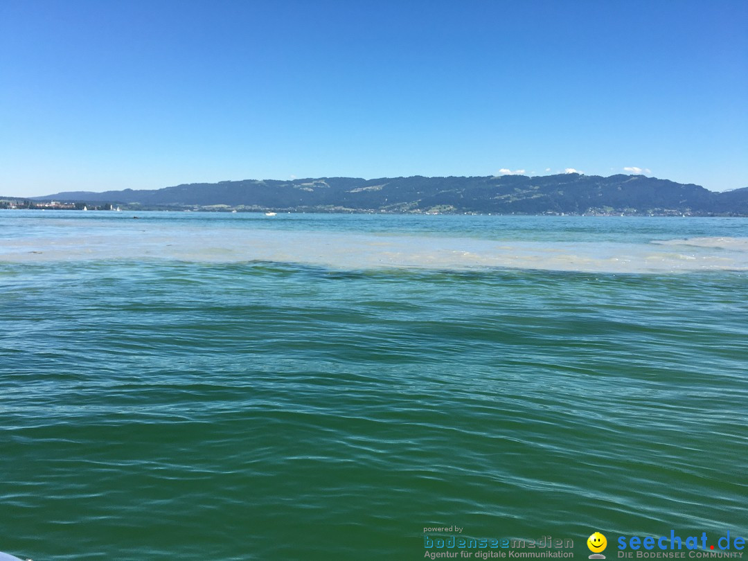 BODENSEEBOOT Breitenquerung, Anna DeLozier Arizona, USA: Bodensee, 23.06.20