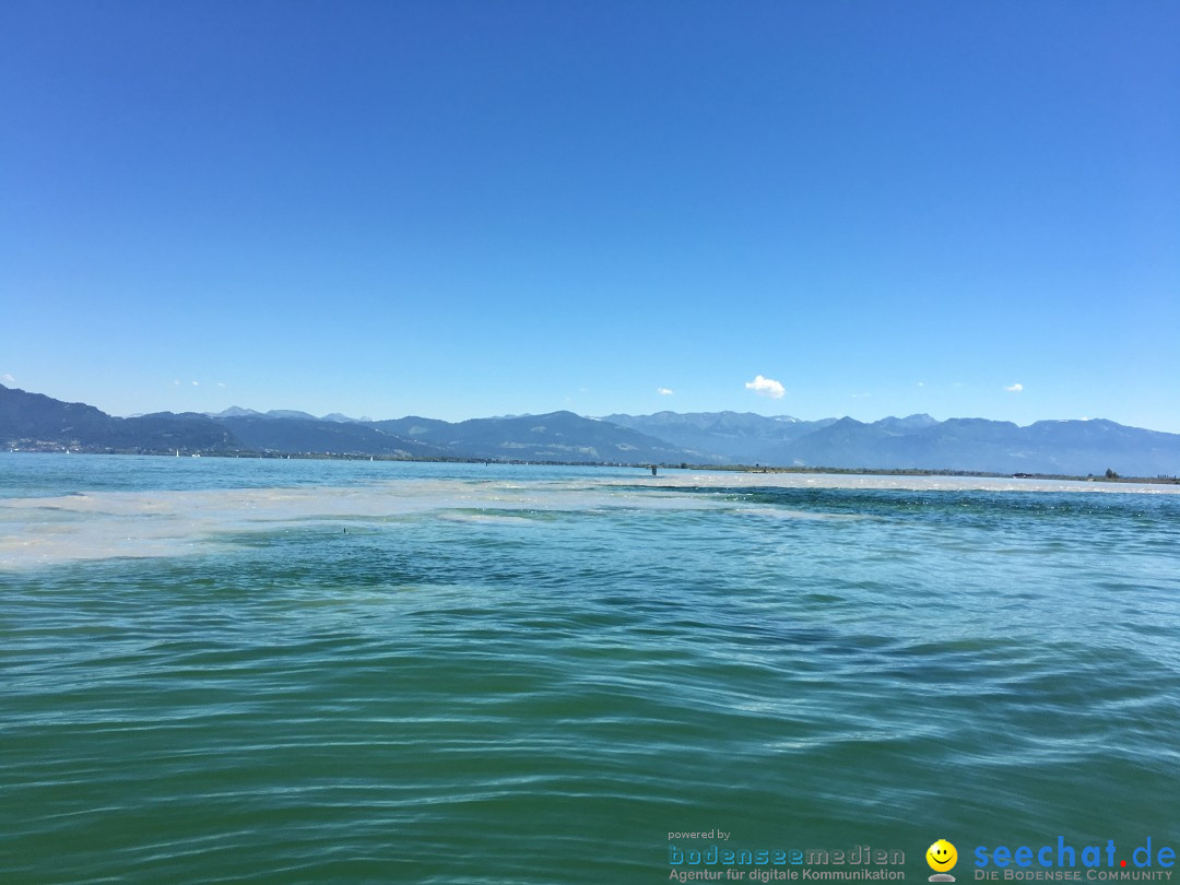 BODENSEEBOOT Breitenquerung, Anna DeLozier Arizona, USA: Bodensee, 23.06.20