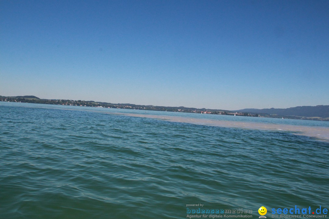 BODENSEEBOOT Breitenquerung, Anna DeLozier Arizona, USA: Bodensee, 23.06.20