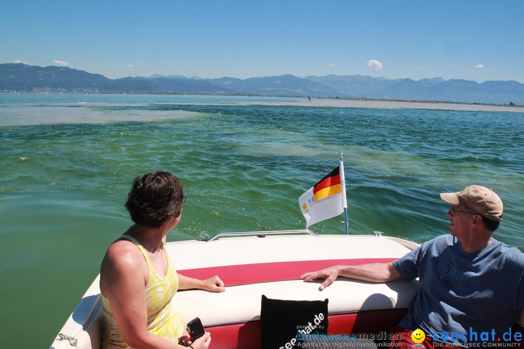 BODENSEEBOOT Breitenquerung, Anna DeLozier Arizona, USA: Bodensee, 23.06.20