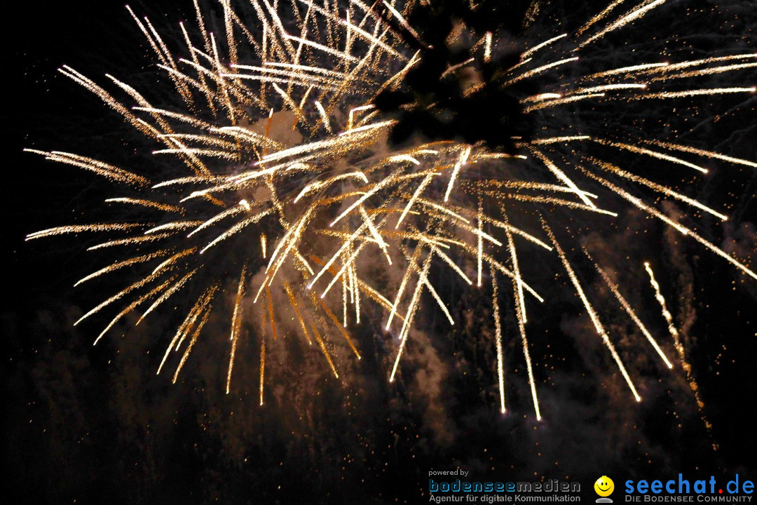 Zuerifest-Zuerich-2017-07-01-Bodensee-Community_SEECHAT_DE-_128_.jpg