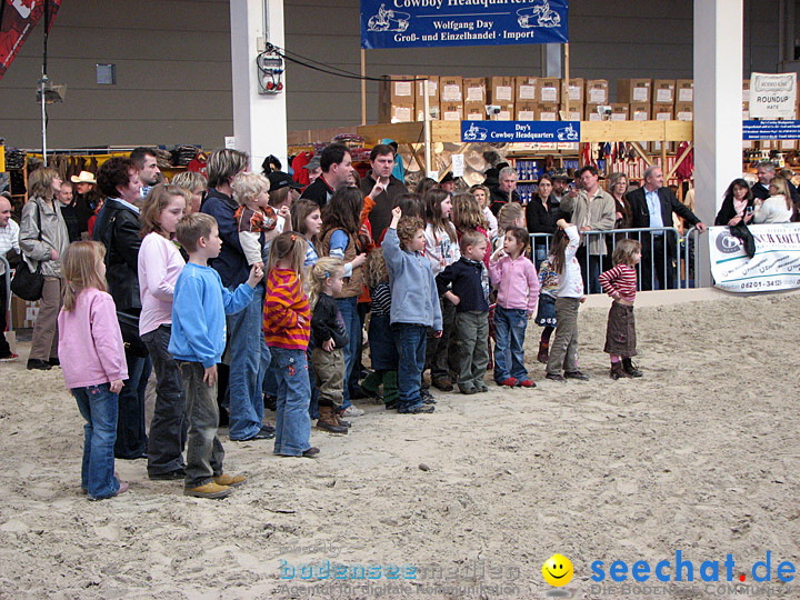 Pferd Bodensee 2008