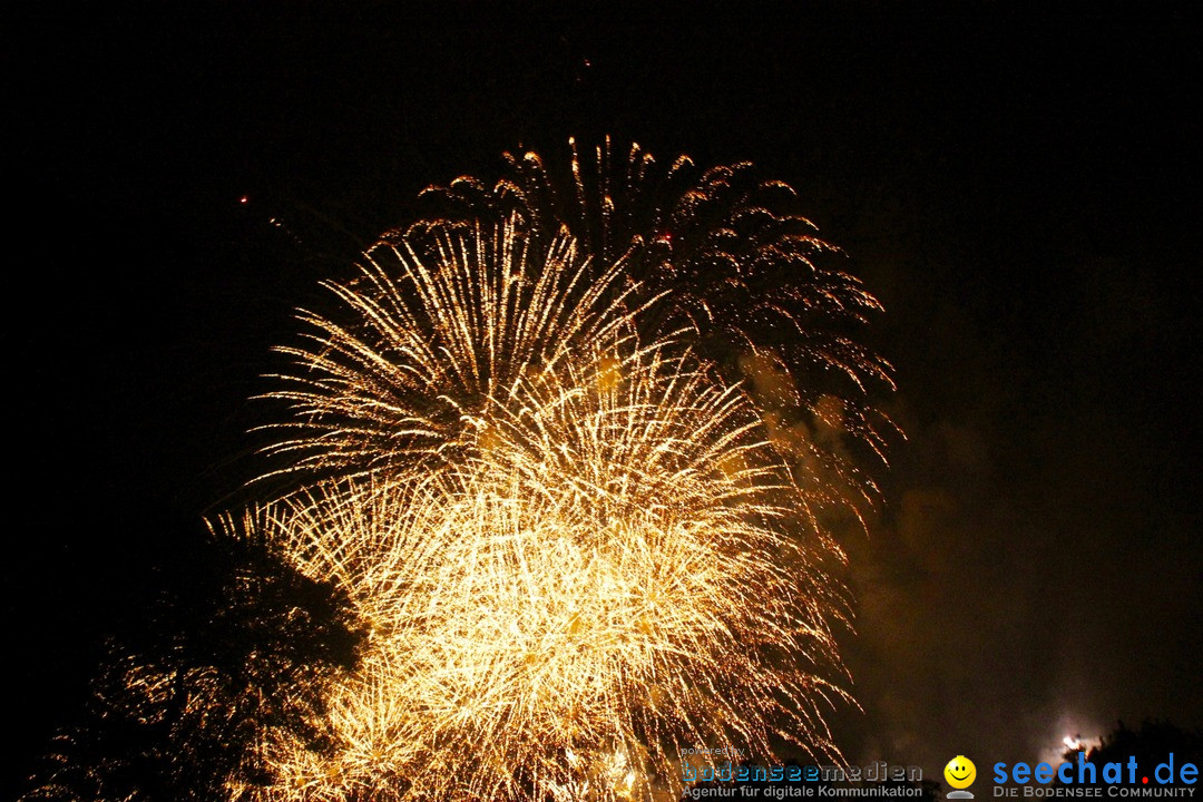 Zuerifest-Zuerich-2017-07-02-Bodensee-Community_SEECHAT_DE-_86_.jpg