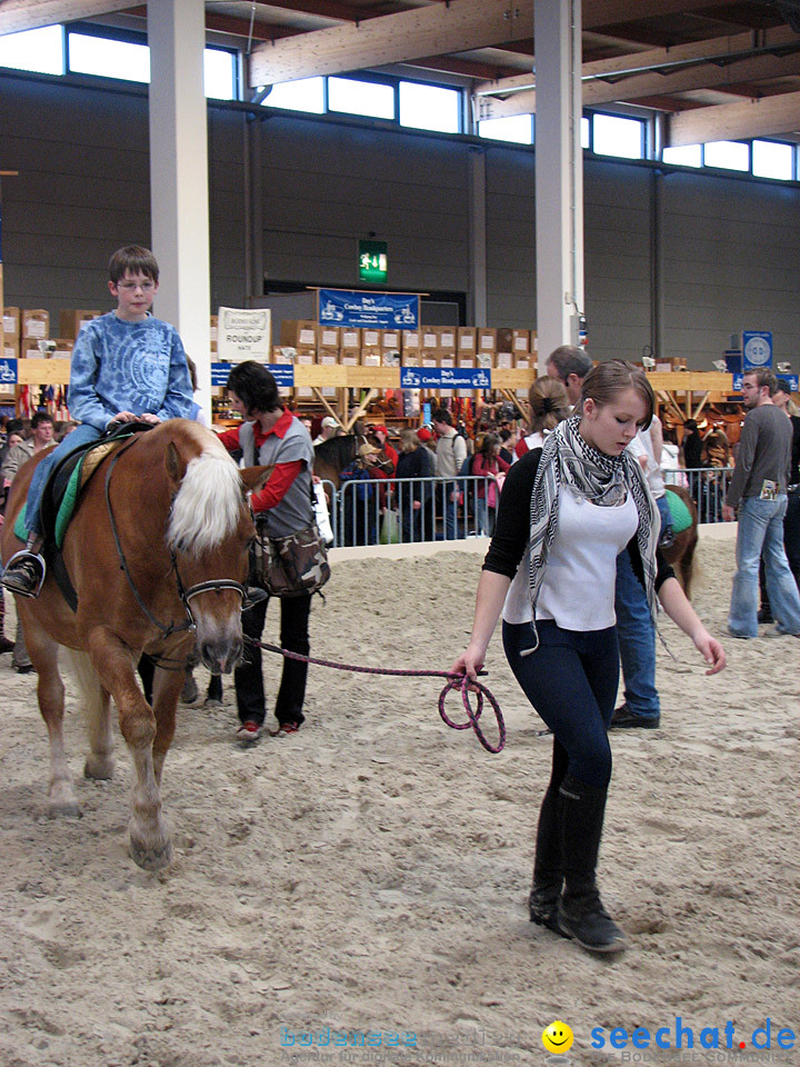 Pferd Bodensee 2008