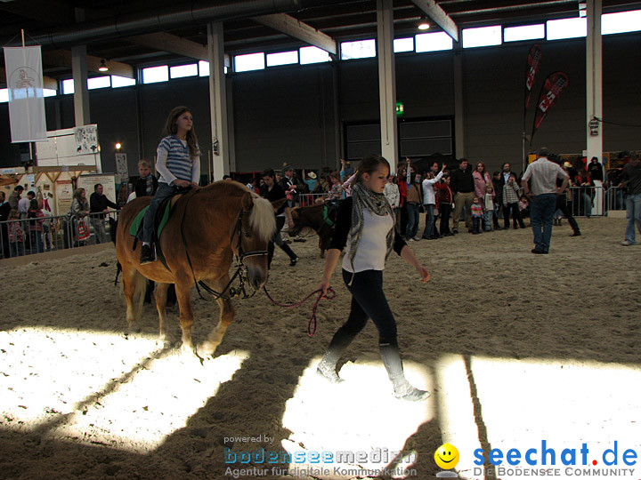 Pferd Bodensee 2008