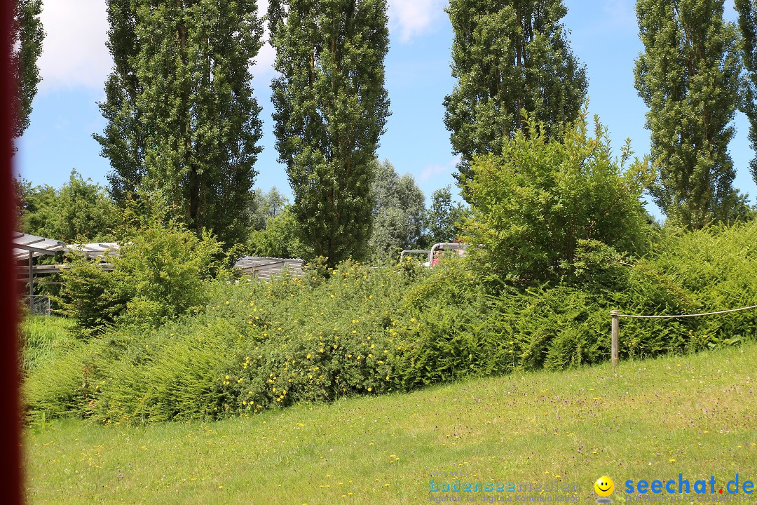 Ravensburger Spieleland mit Radio7 Drachenkindertag: Meckenbeuren, 03.07.20